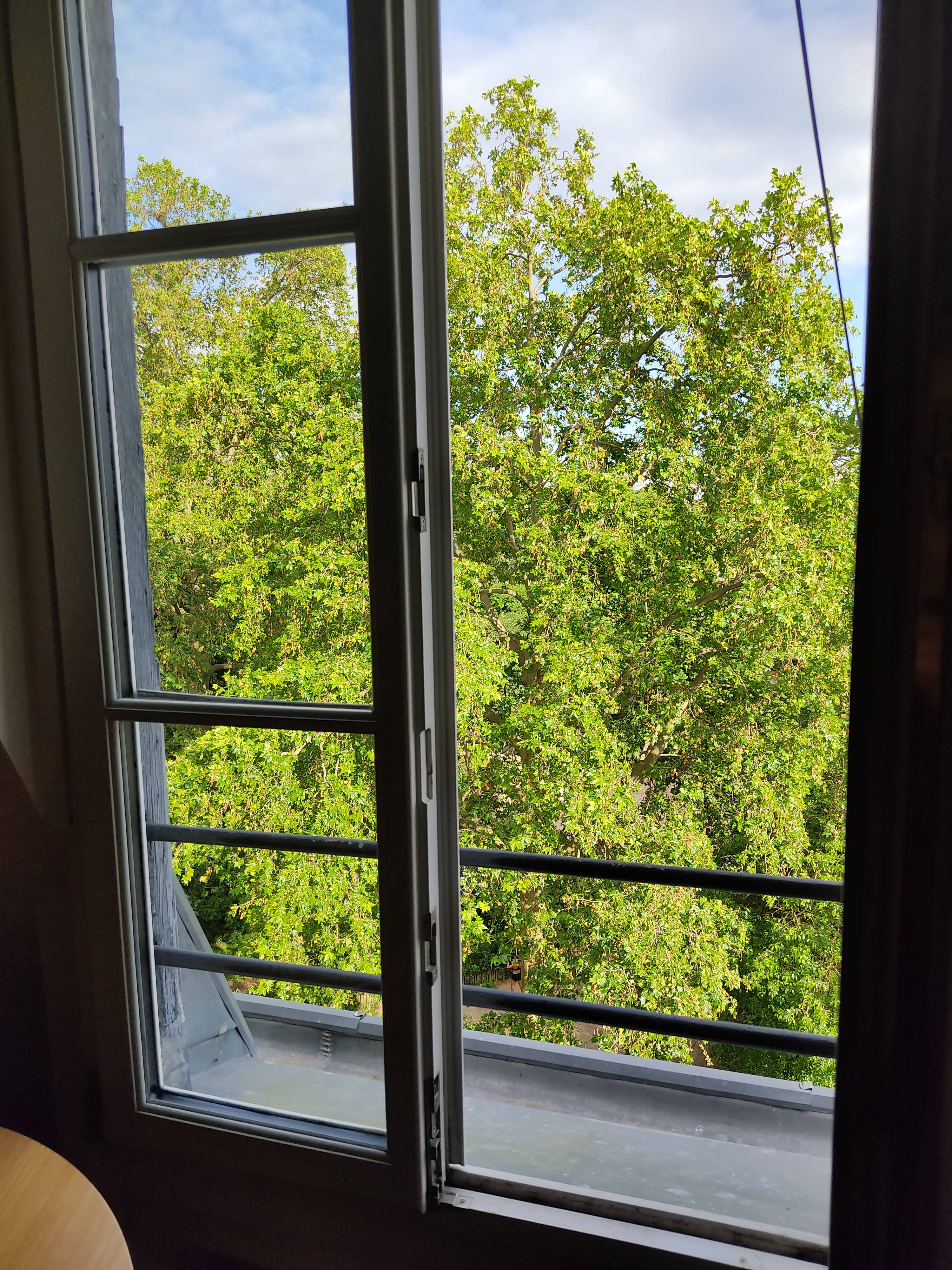 Une photo de l’annonce