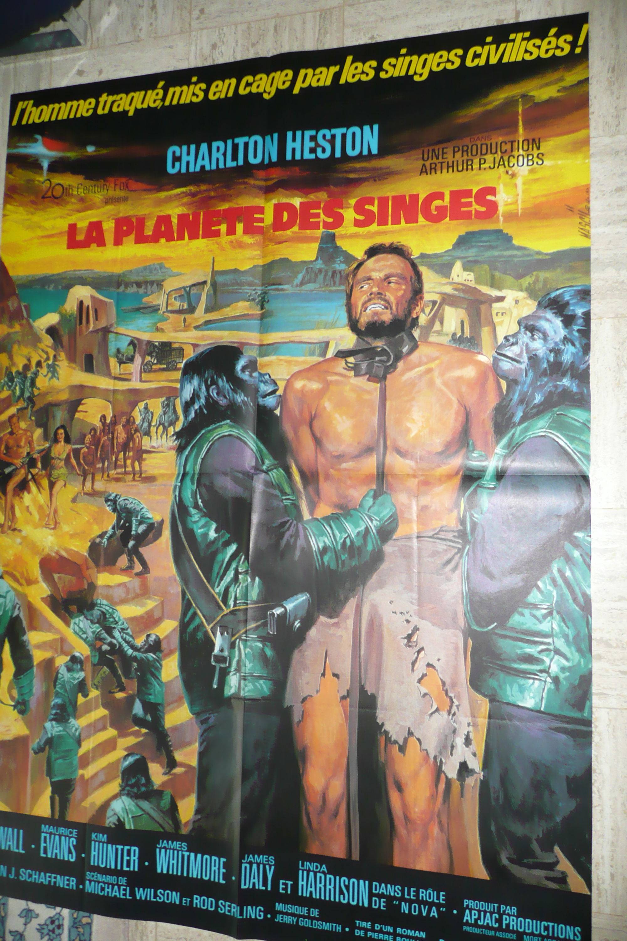 Vends grande affiche neuve du film "La Planète des Singes"