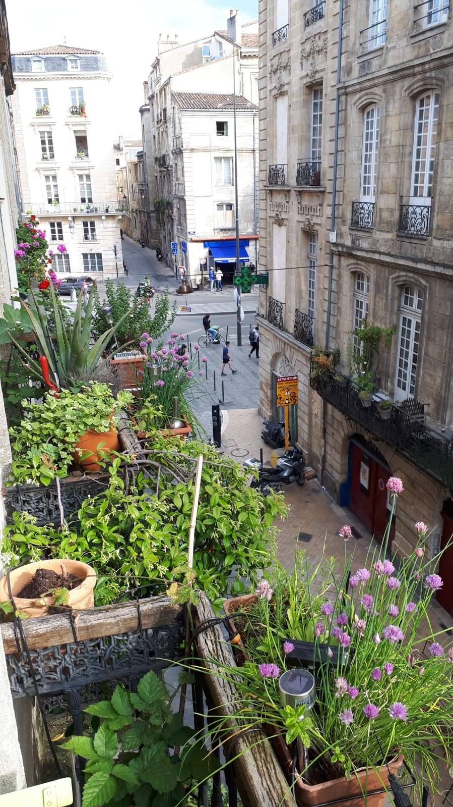 Loue Bordeaux centre grande chambre meublée avec balcon type studio - 25m²