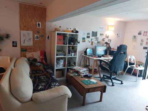 Loue gande chambre chez l’habitant. Nantes (44) - 1 chambre, 40m²