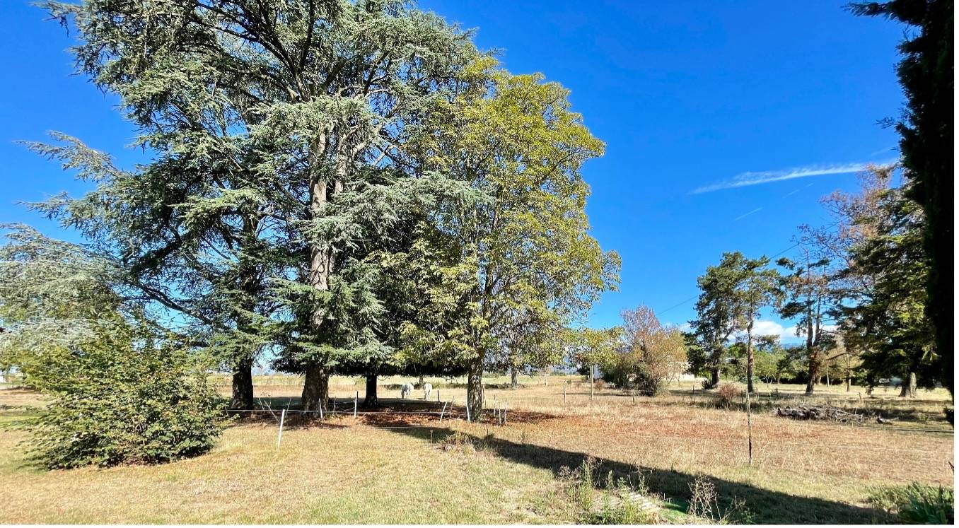 Une photo de l’annonce