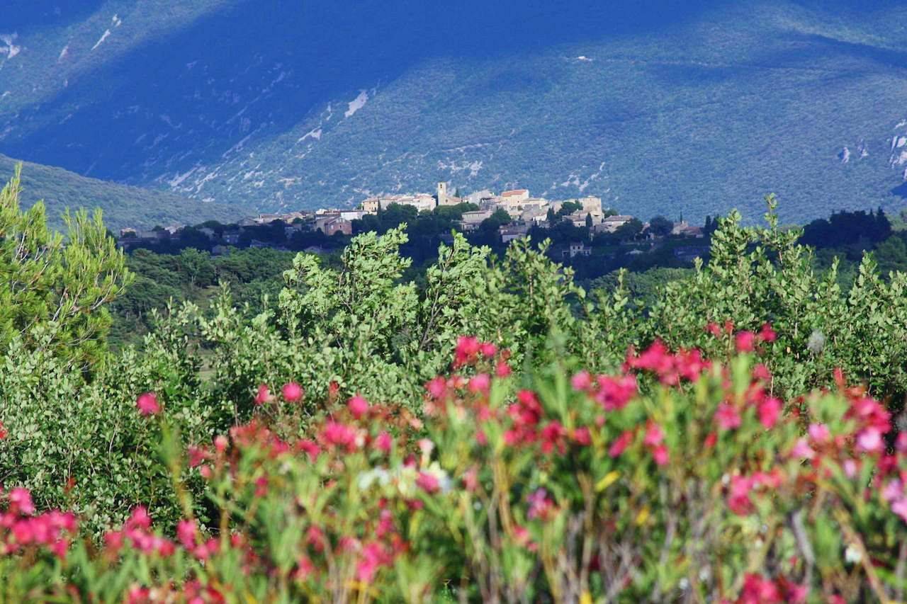 Une photo de l’annonce de location de vacances