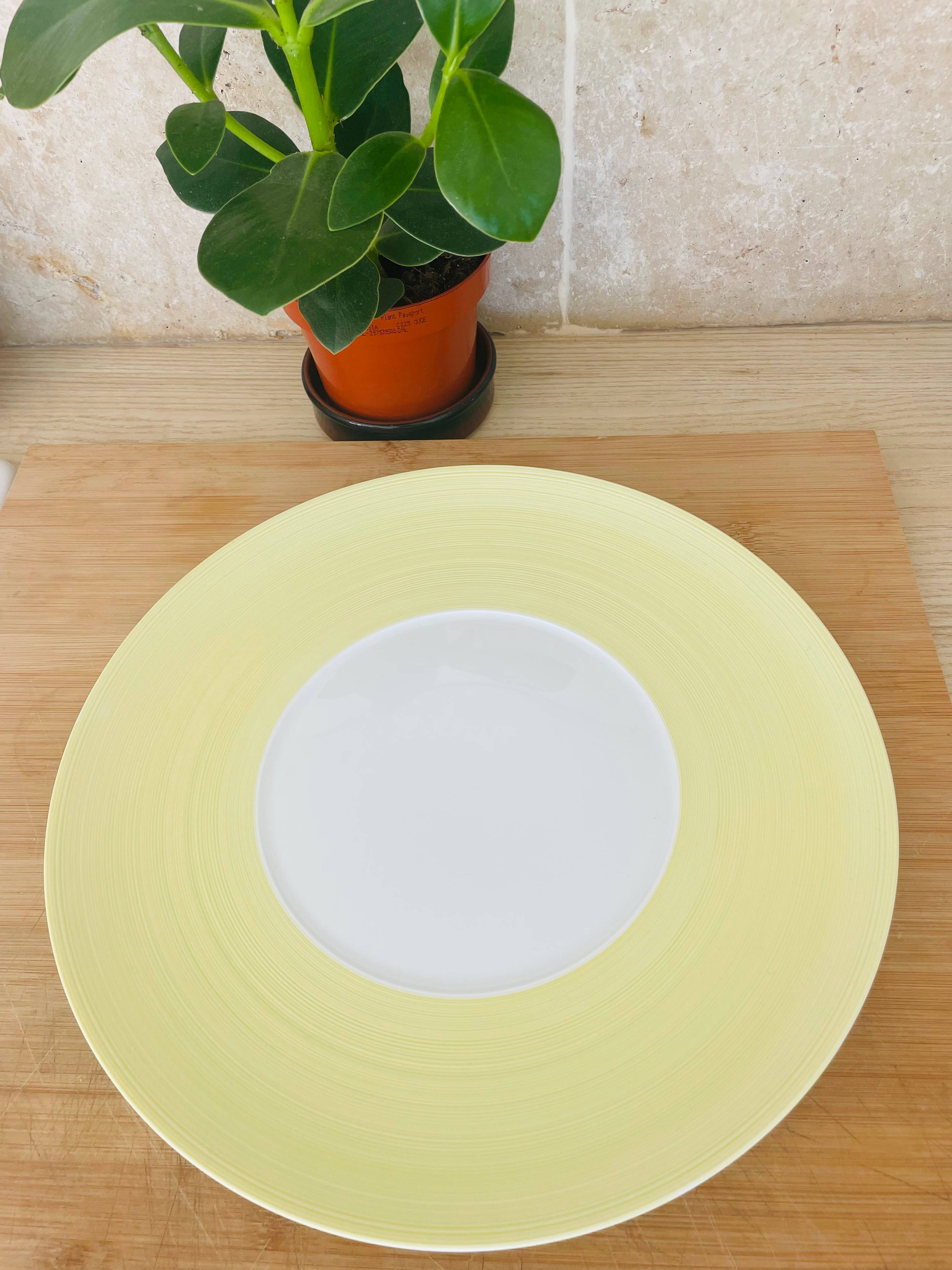 Lot 6 grandes assiettes porcelaine J.L Coquet hémisphère jaune et blanche