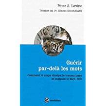 Guérir par delà les mots