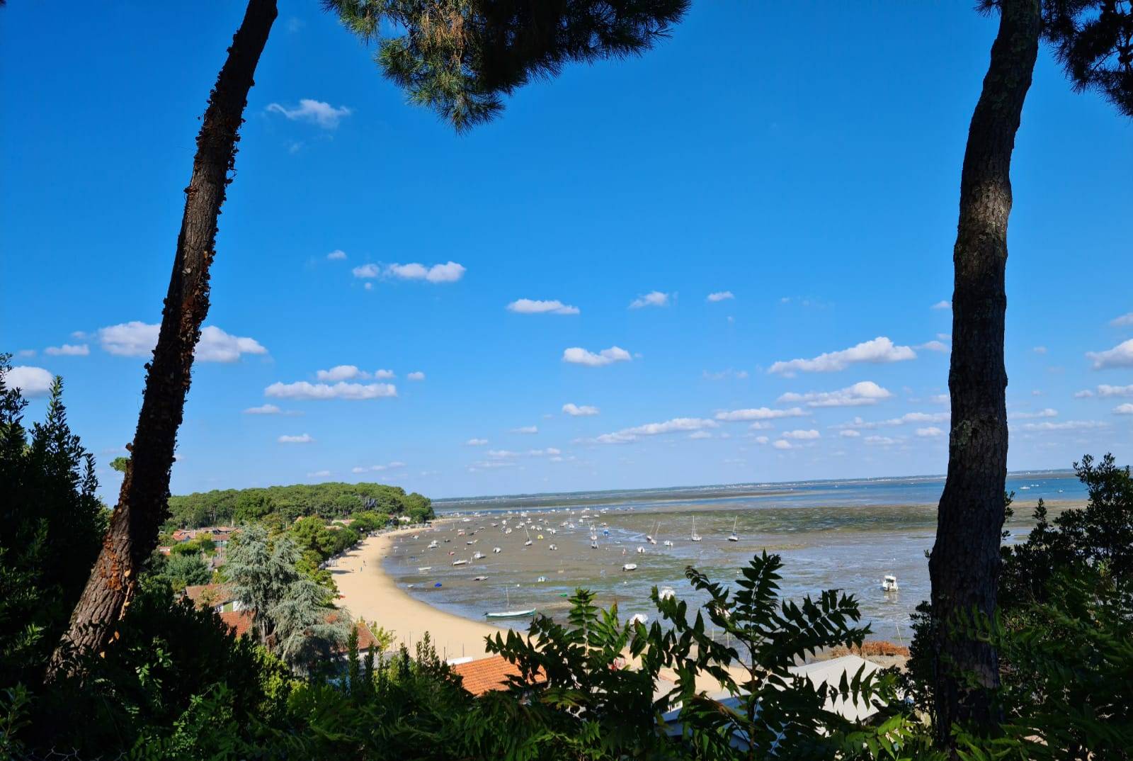 Loue appartement sur la presqu’île du bonheur - 1 chambre, 4 couchages, Lège-Cap-Ferret (33)