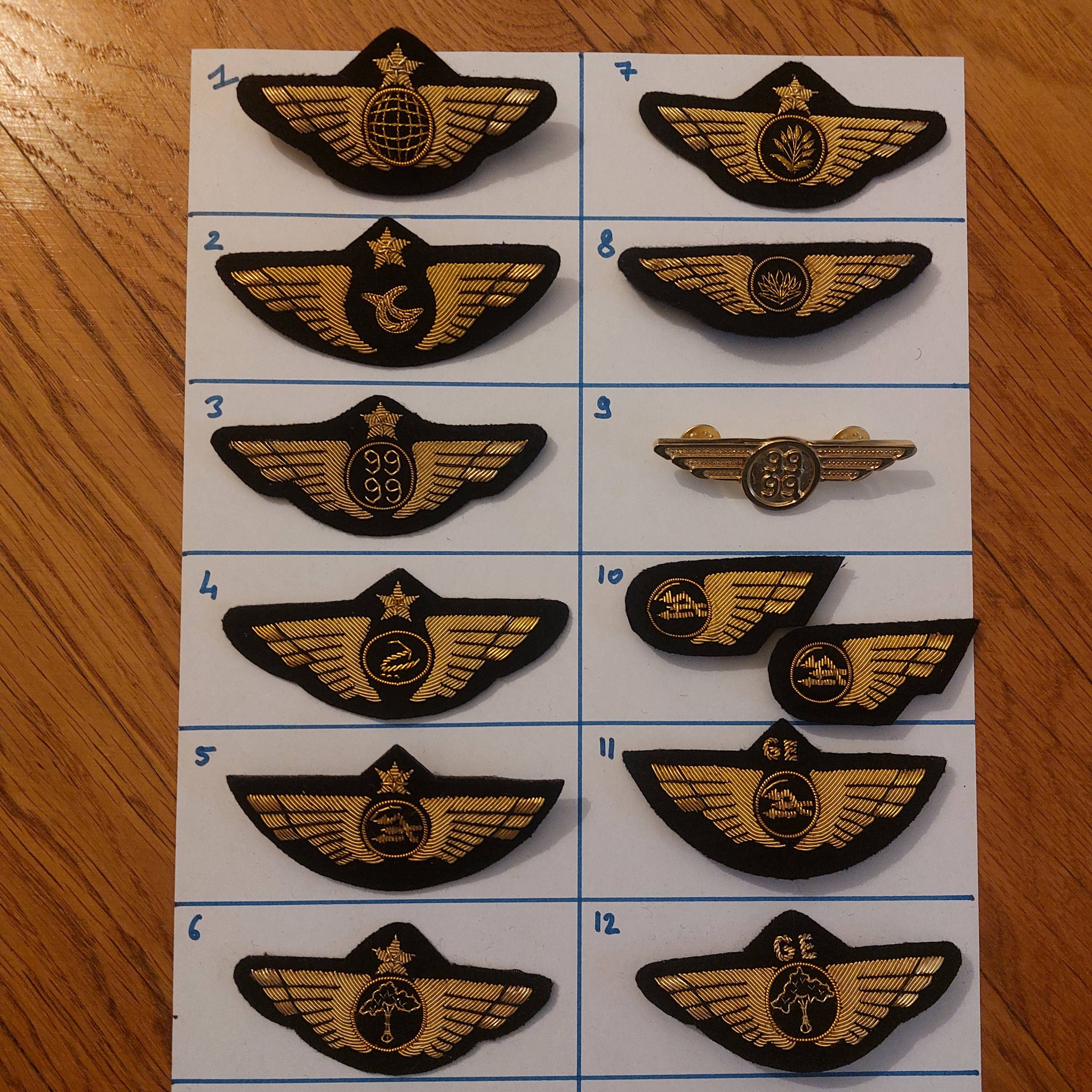 Vends aile insigne pilote avion neuf aviation collection