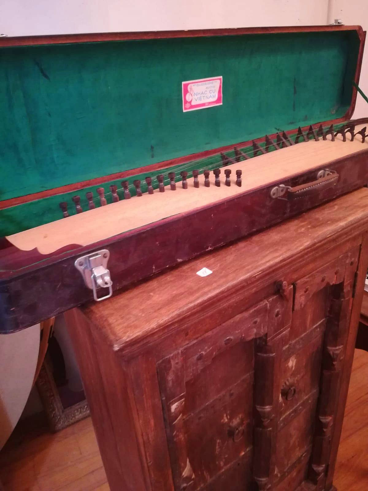 Instrument à cordes vietnamien