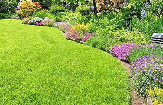 Propose aide jardinage (tonte, lavage de terrasse, désherbage…)
