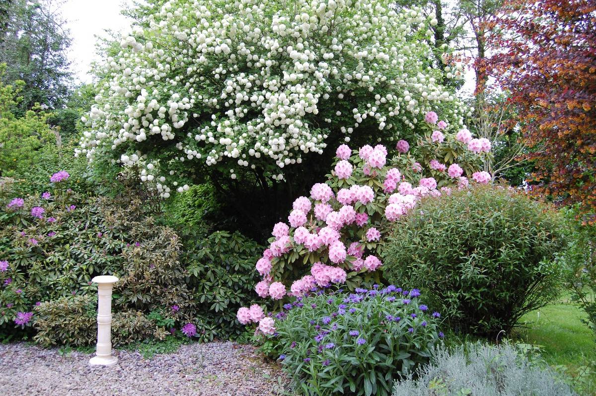 Propose services de jardinier