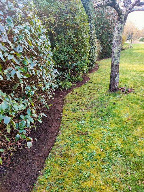 Propose mes services de jardinier secteur Baden alentours