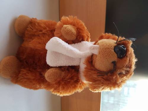 Jolie marmotte, toute douce…
