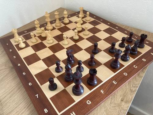 Joueur de Tournois Propose Cours d’Echecs en Français et en Anglais