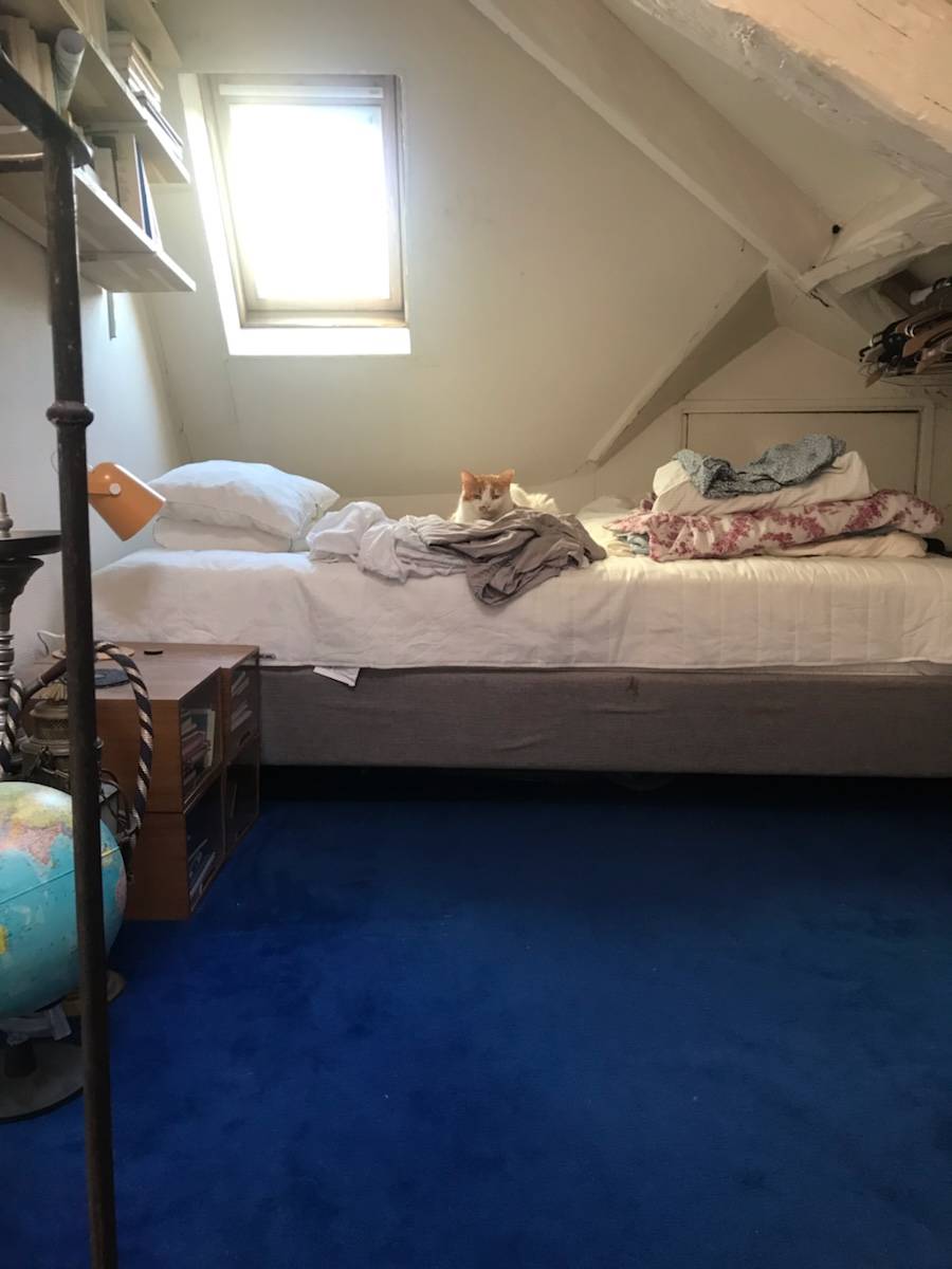 Une photo de l’annonce