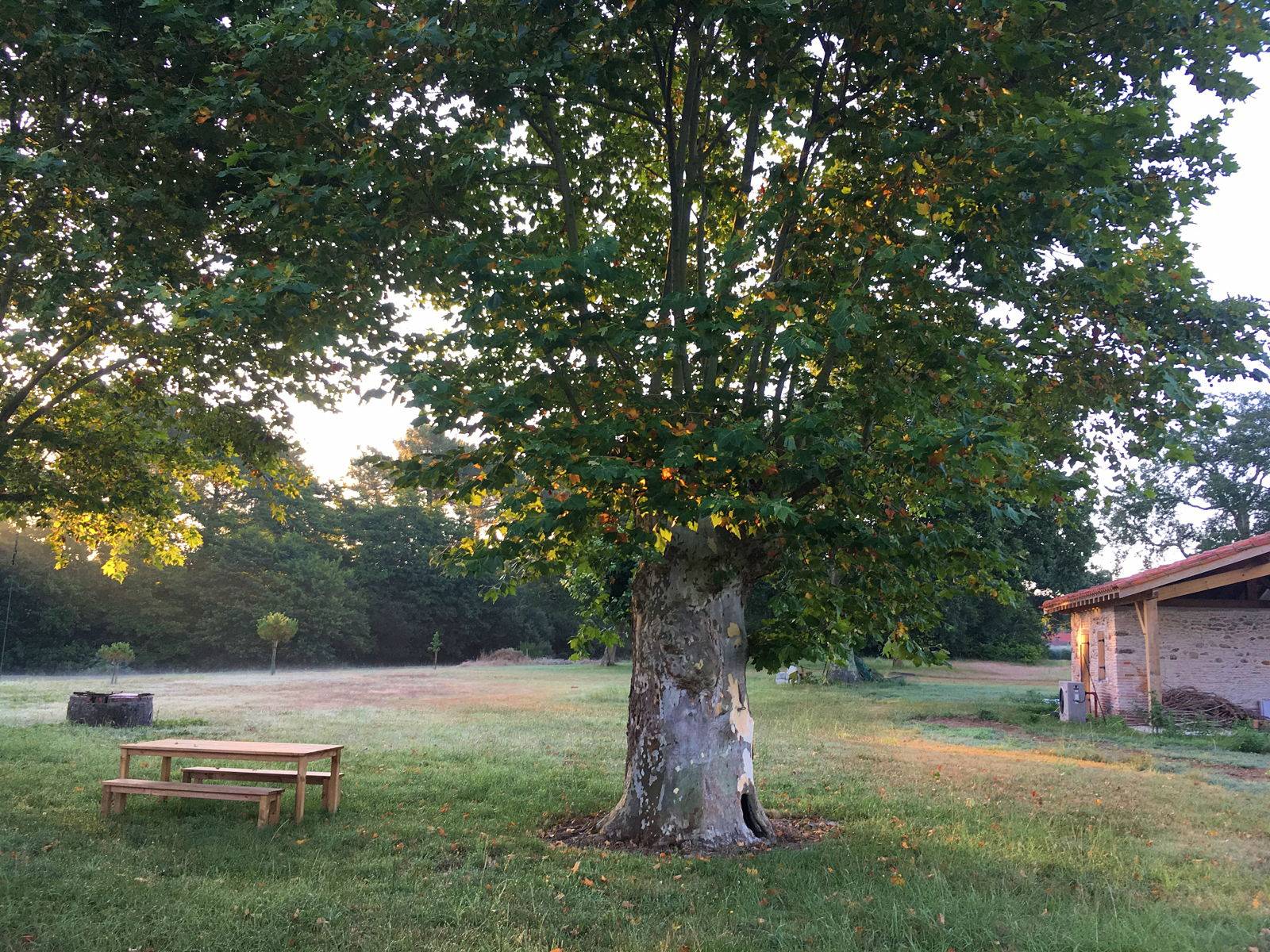 Une photo de l’annonce de location de vacances