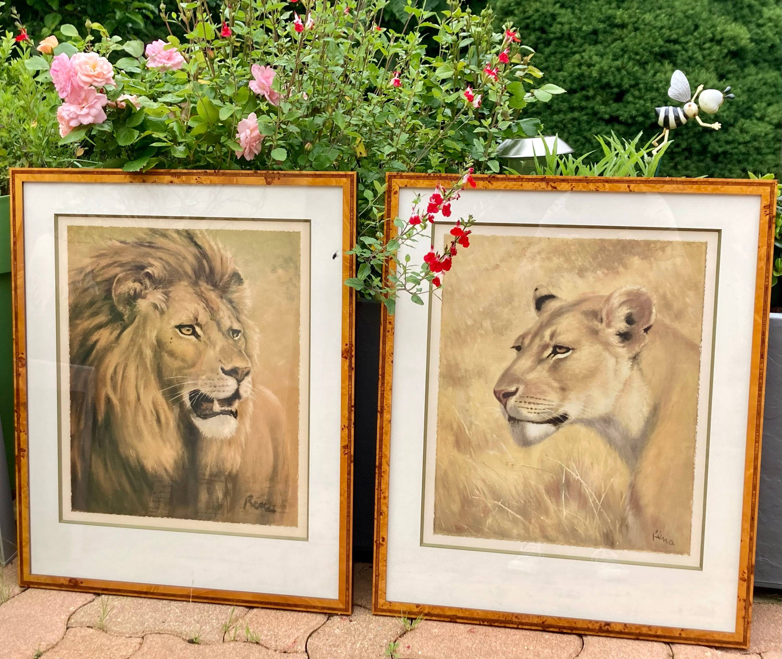 Lithographies félins -lion& lionne -Rena Fennessy