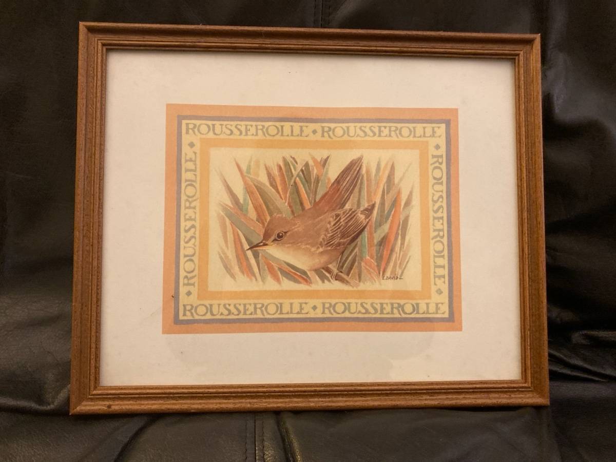 4 lithographies oiseaux de  L.David