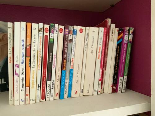 Livres à caractère scolaire (ou pas)