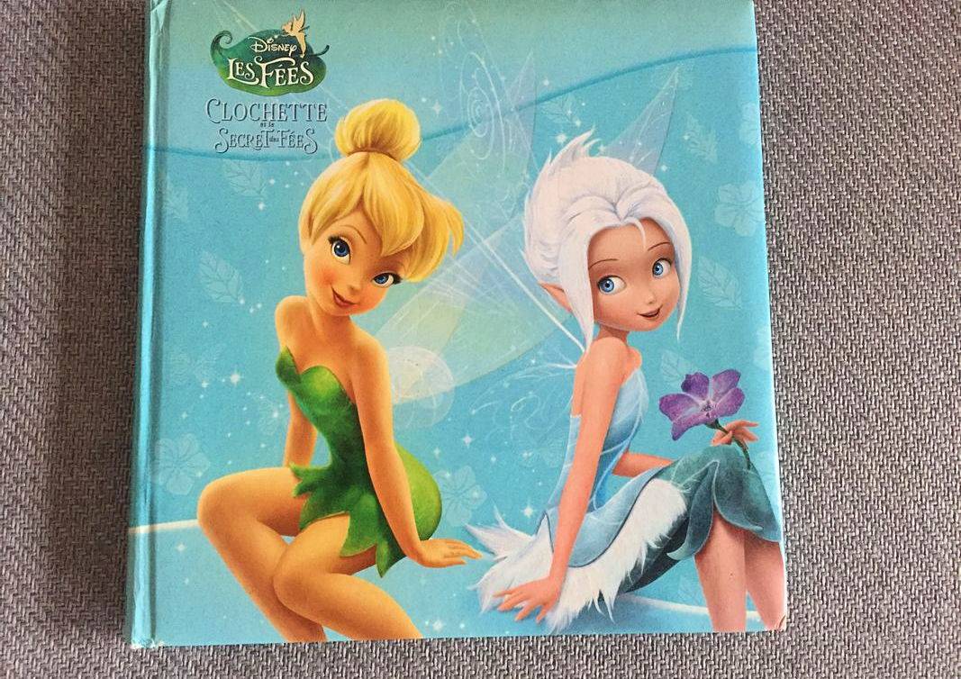 2 Livres Fée Clochette Disney Hachette