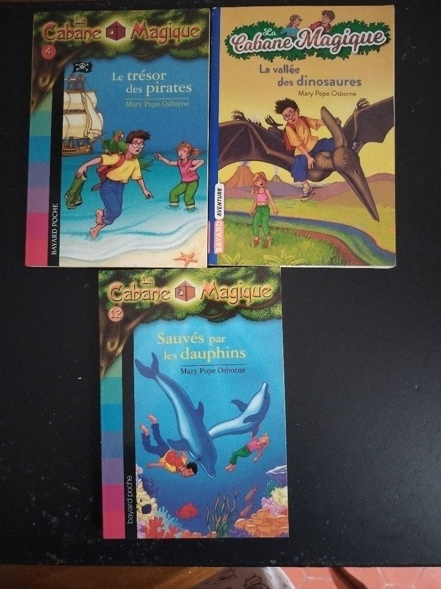 Vends lot de livres ado