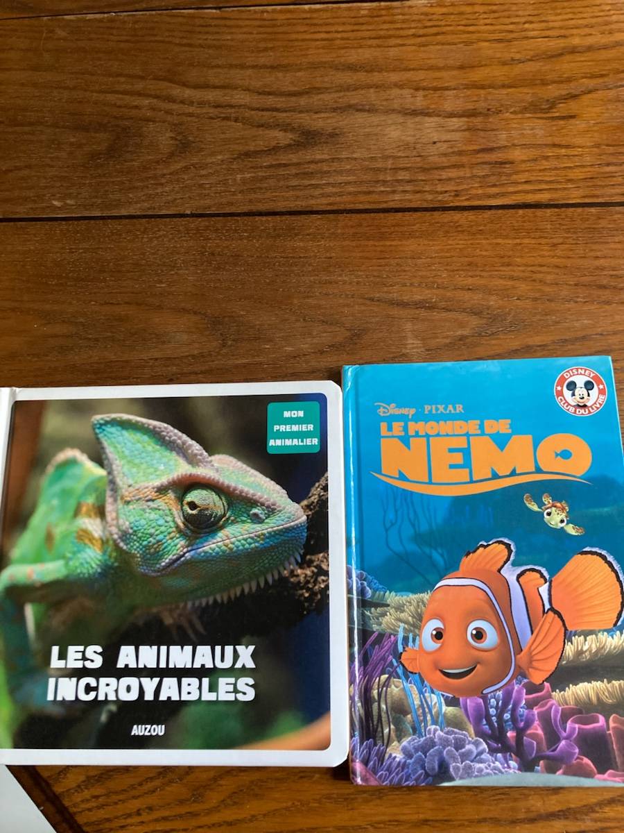 Lot de 2 livres pour enfants