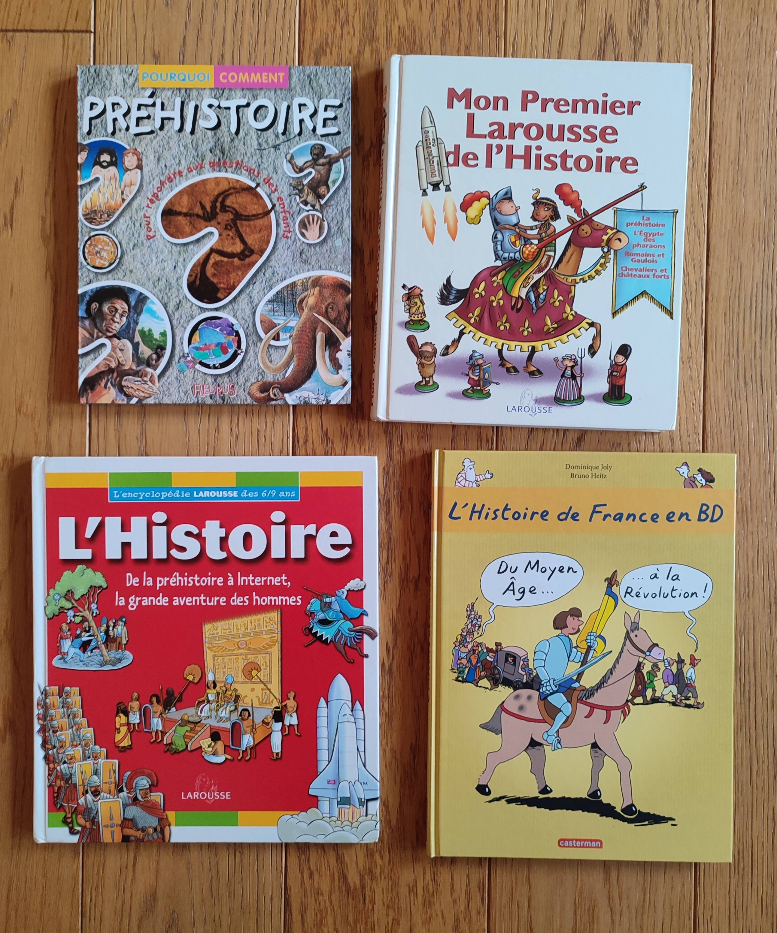 Vends lot de 4 livres jeunesse Préhistoire