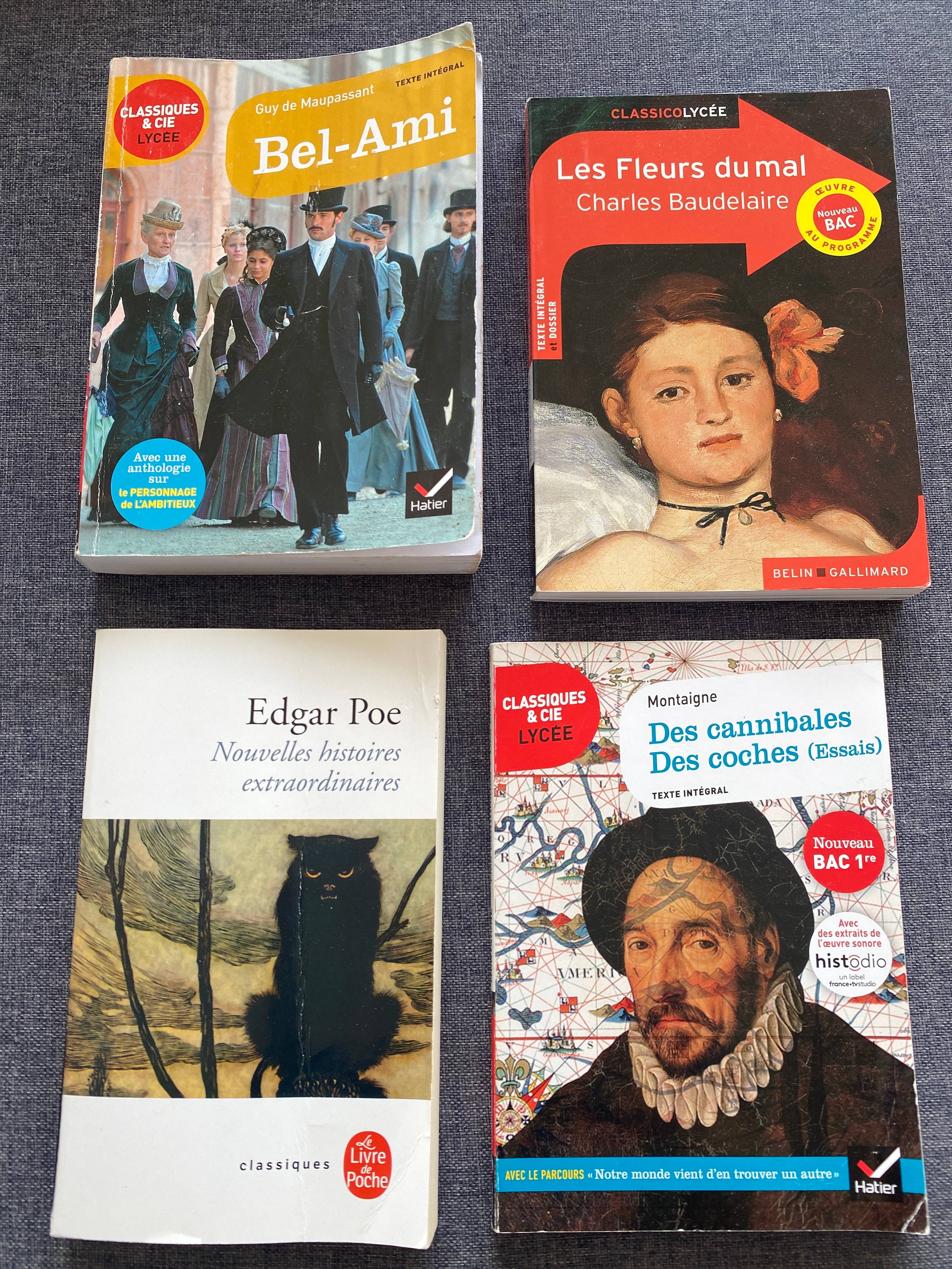 Vends livres Lycée 1ère - Maupassant, Montaigne, Baudelaire, E. Poe