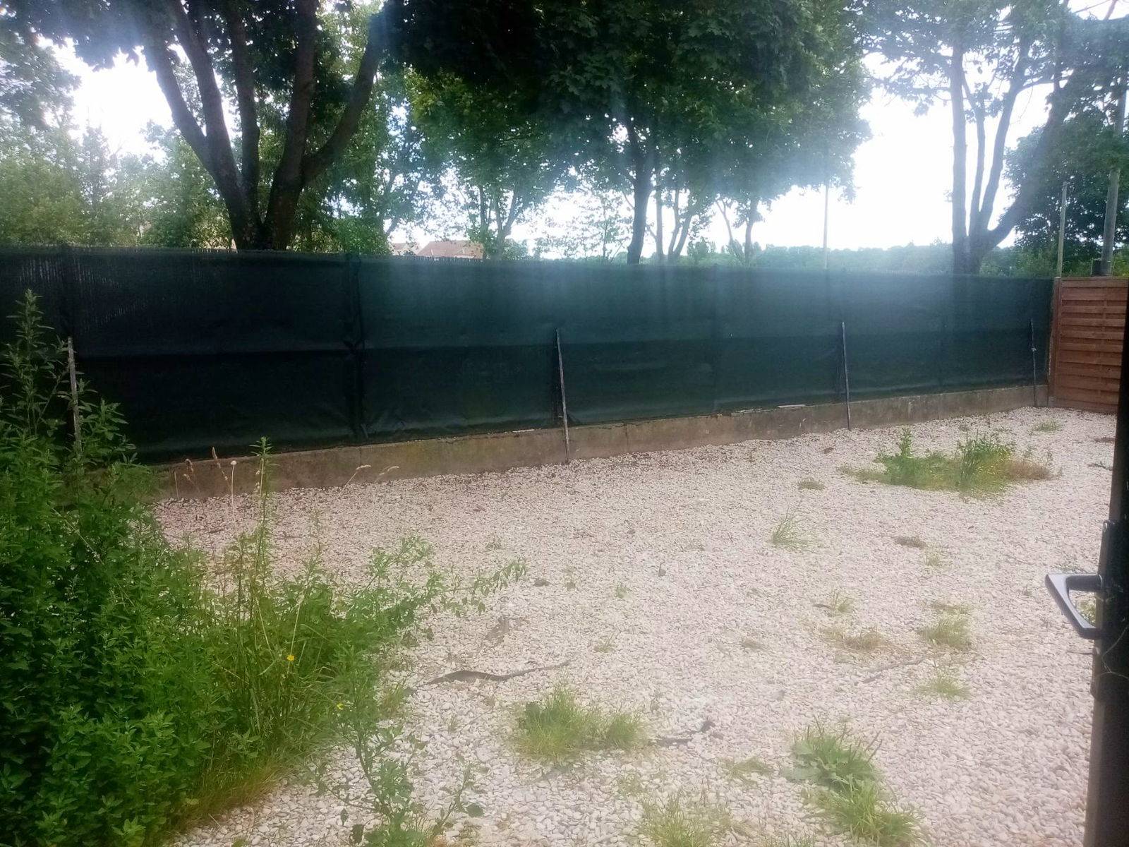 Une photo de l’annonce