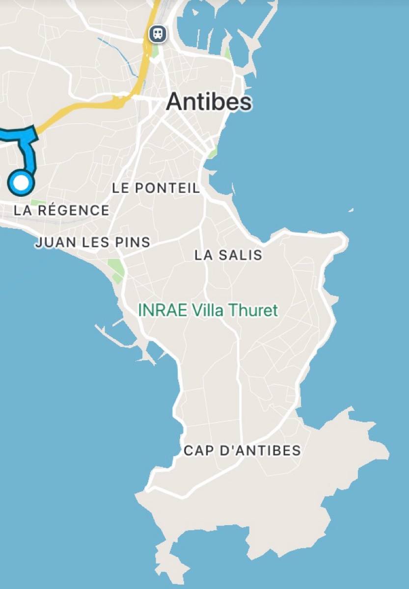 Une photo de l’annonce