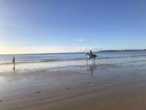 Location appartement La Baule face mer 4 couchages