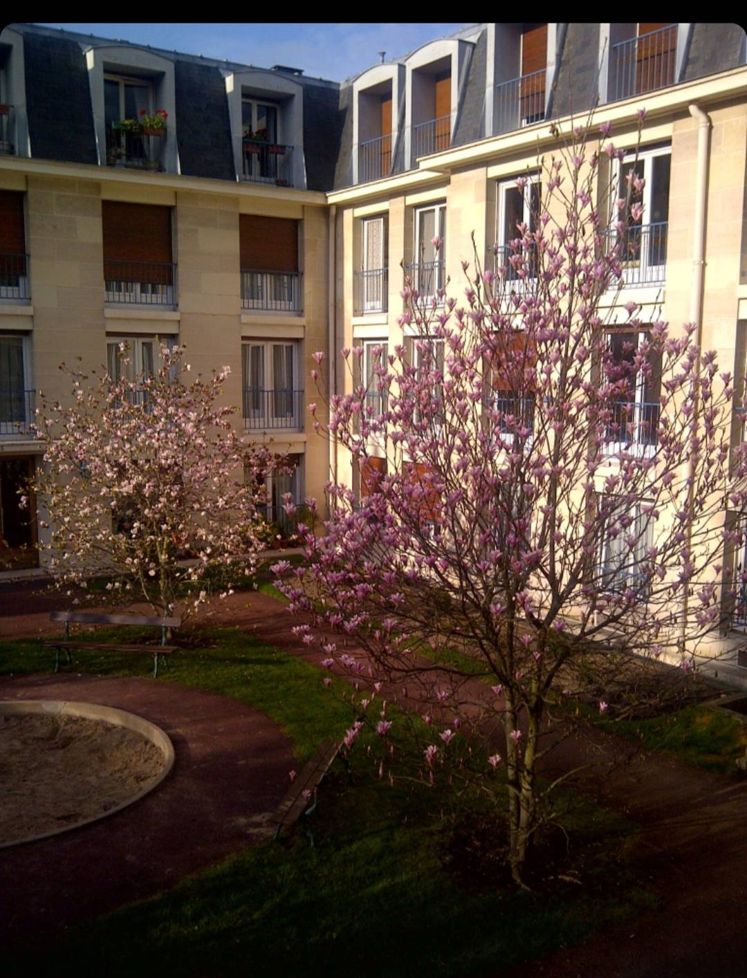 Une photo de l’annonce