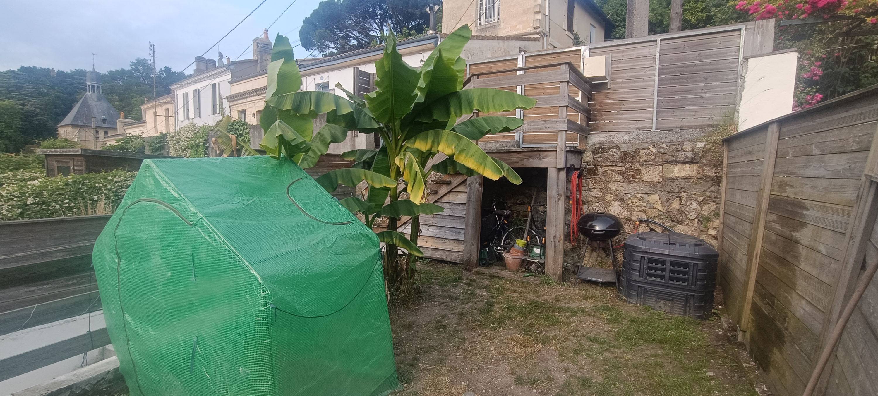Une photo de l’annonce