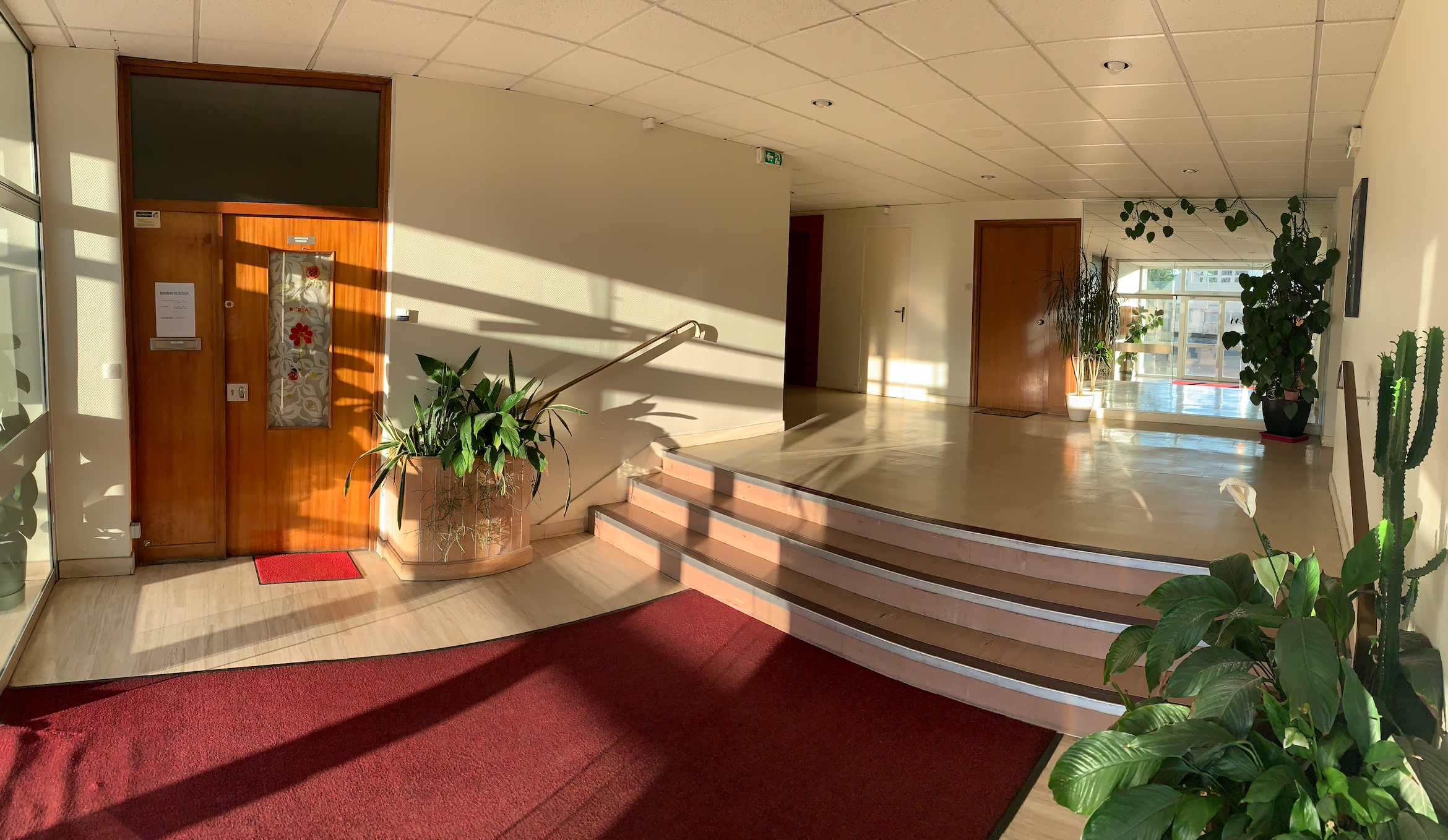 Une photo de l’annonce