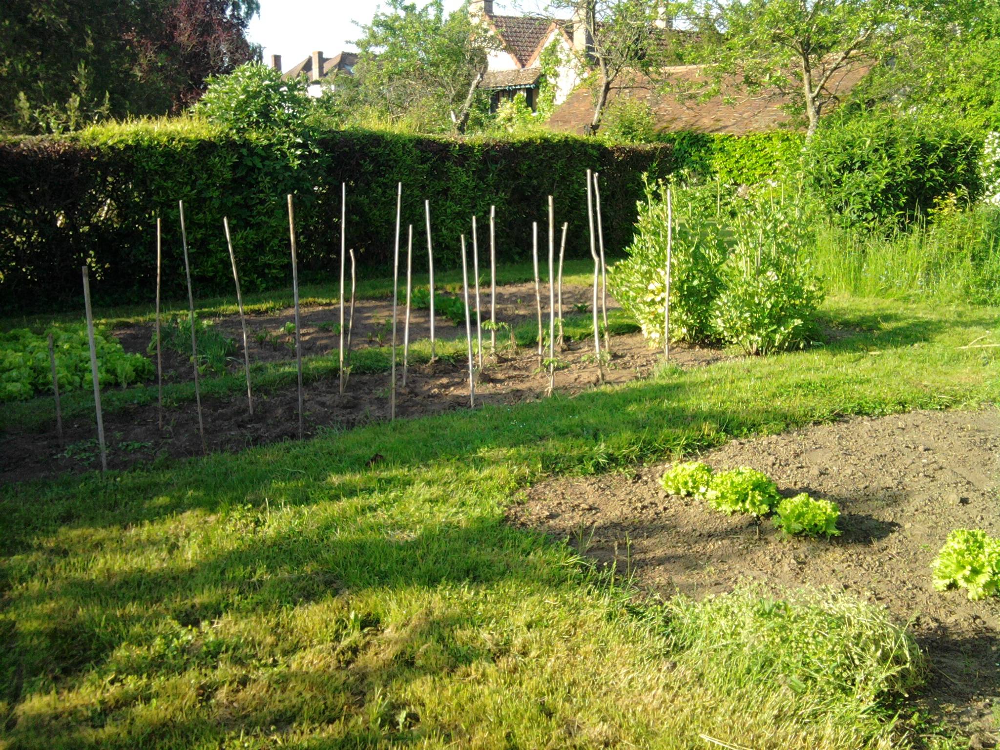 Une photo de l’annonce