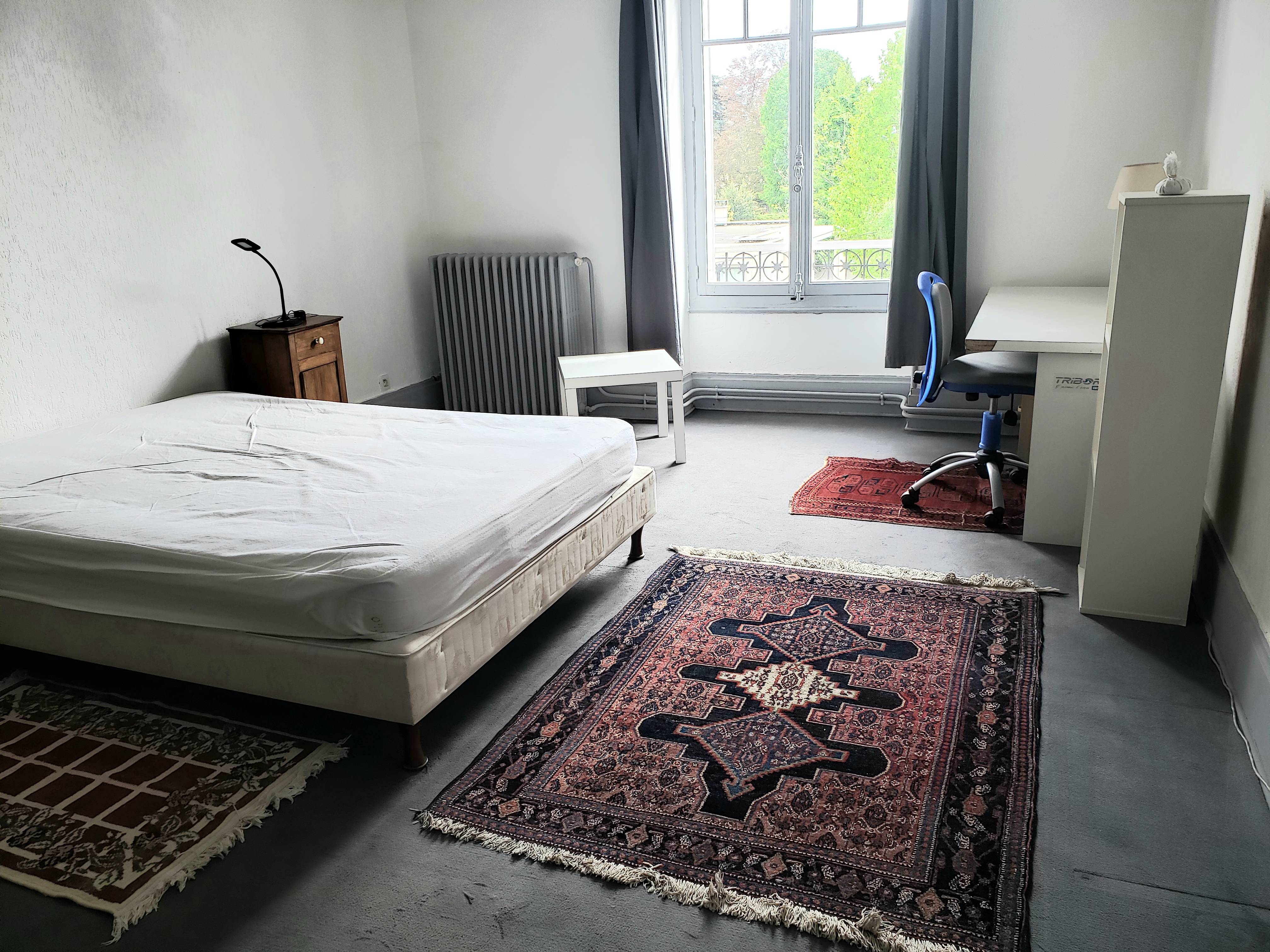 Une photo de l’annonce