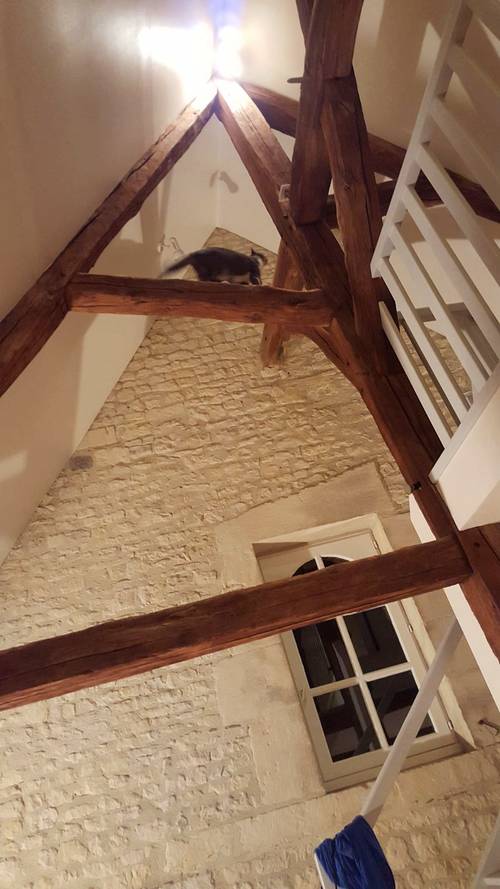 Loue chambre meublée Caen (14) - hypercentre ancien - 1 chambre, 15m² dans duplex 140m²