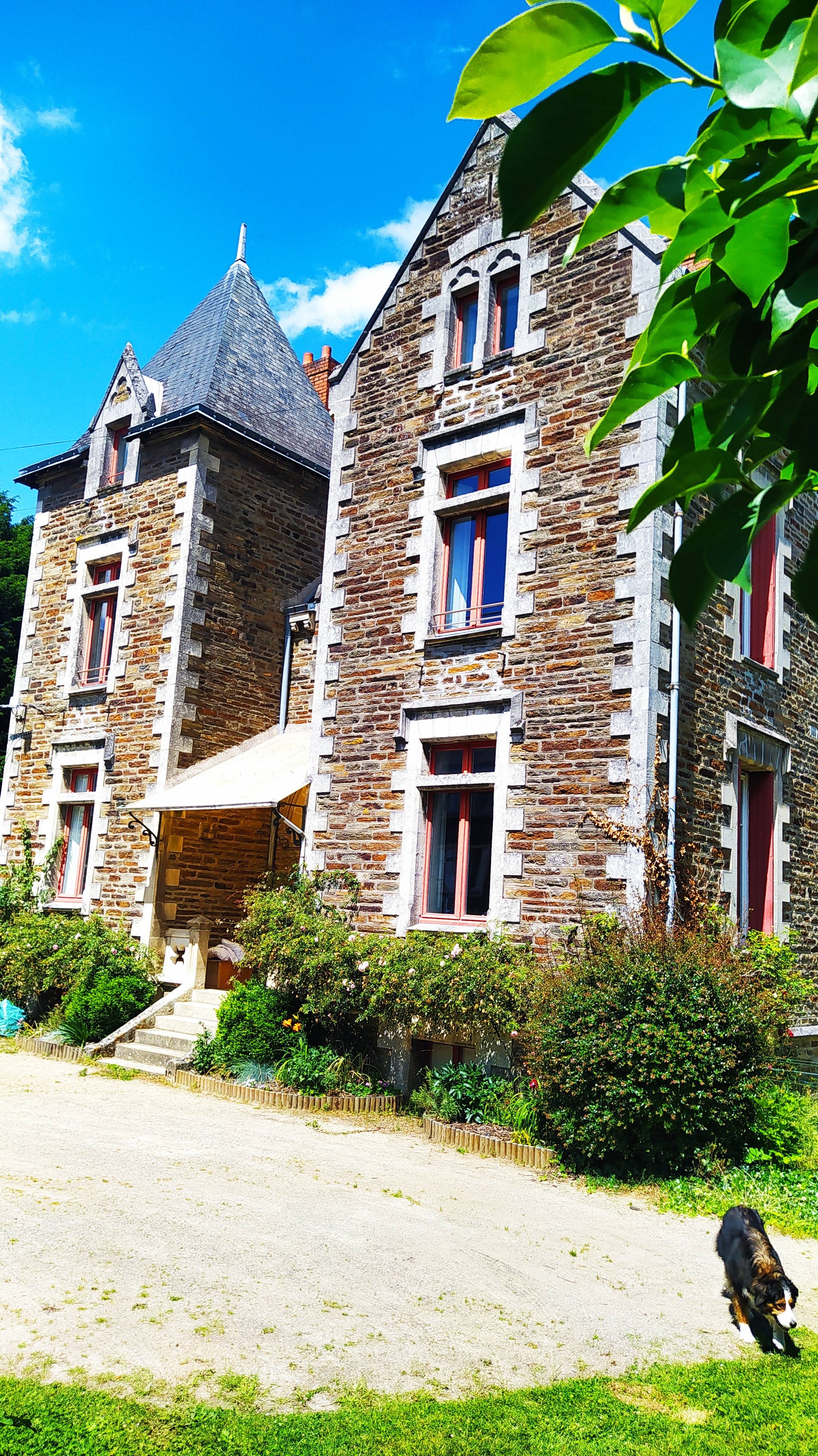 Une photo de l’annonce