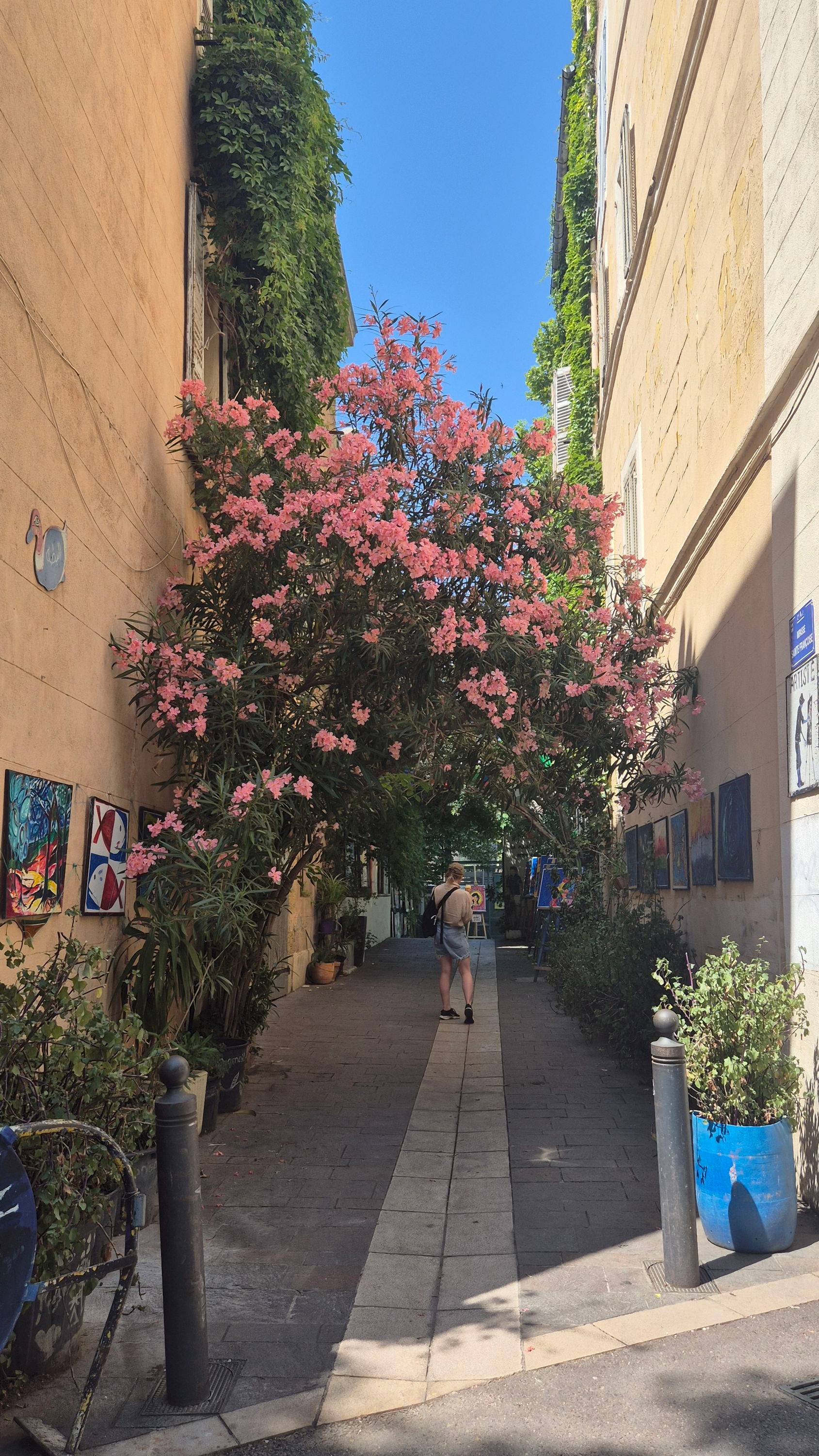 Une photo de l’annonce