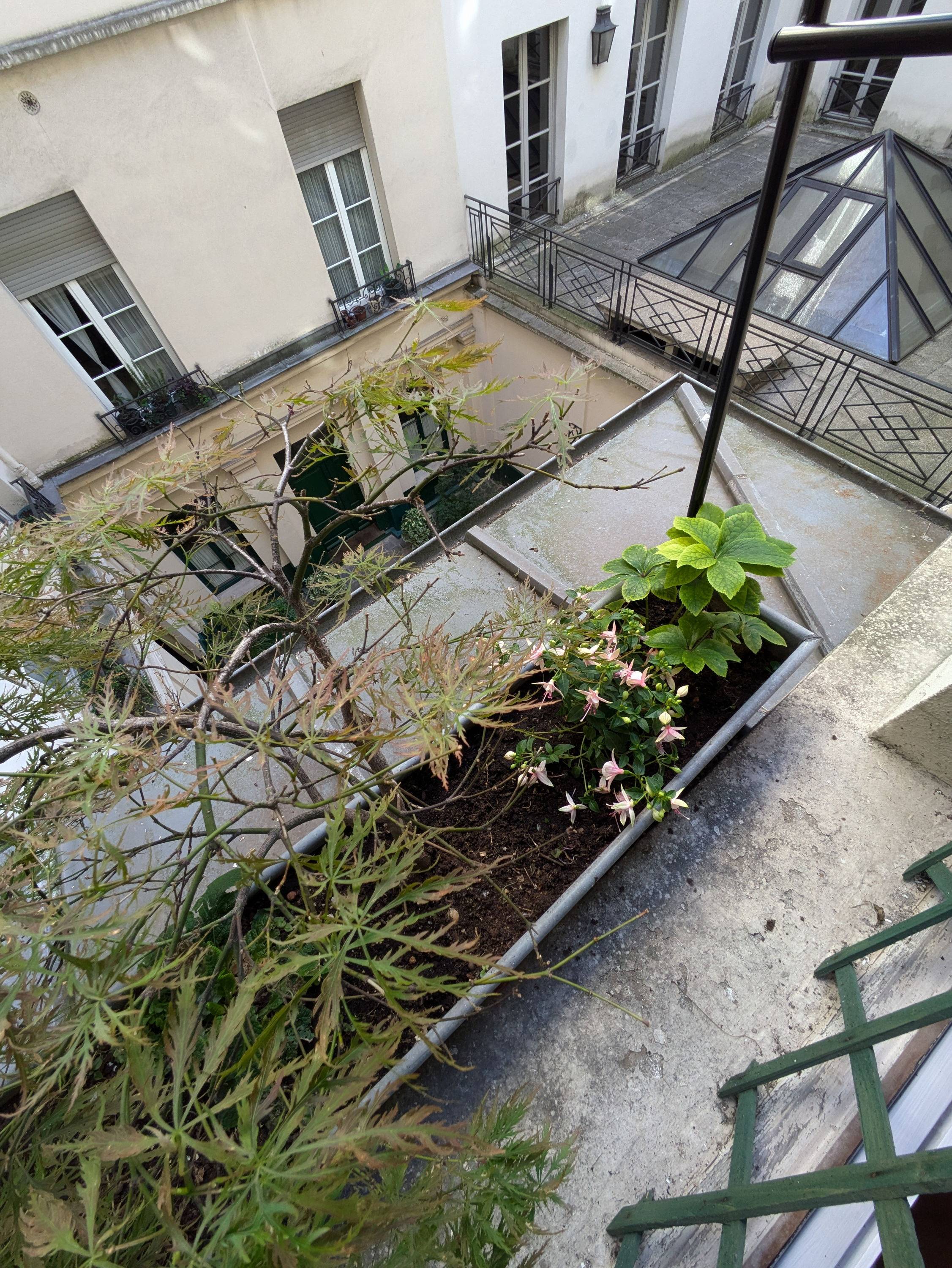 Une photo de l’annonce de location de vacances