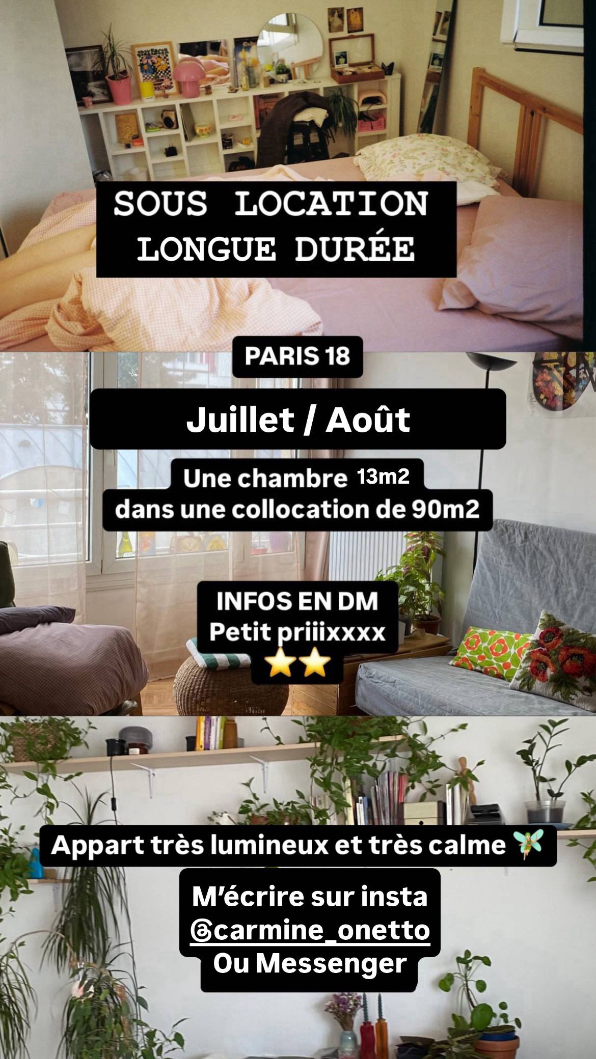 Une photo de l’annonce