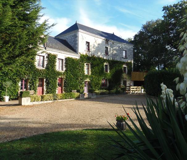 Loue Gîte au coeur des vignes à 20 mn d’Angers - 4 couchages, Saint-Melaine-sur-Aubance (49)