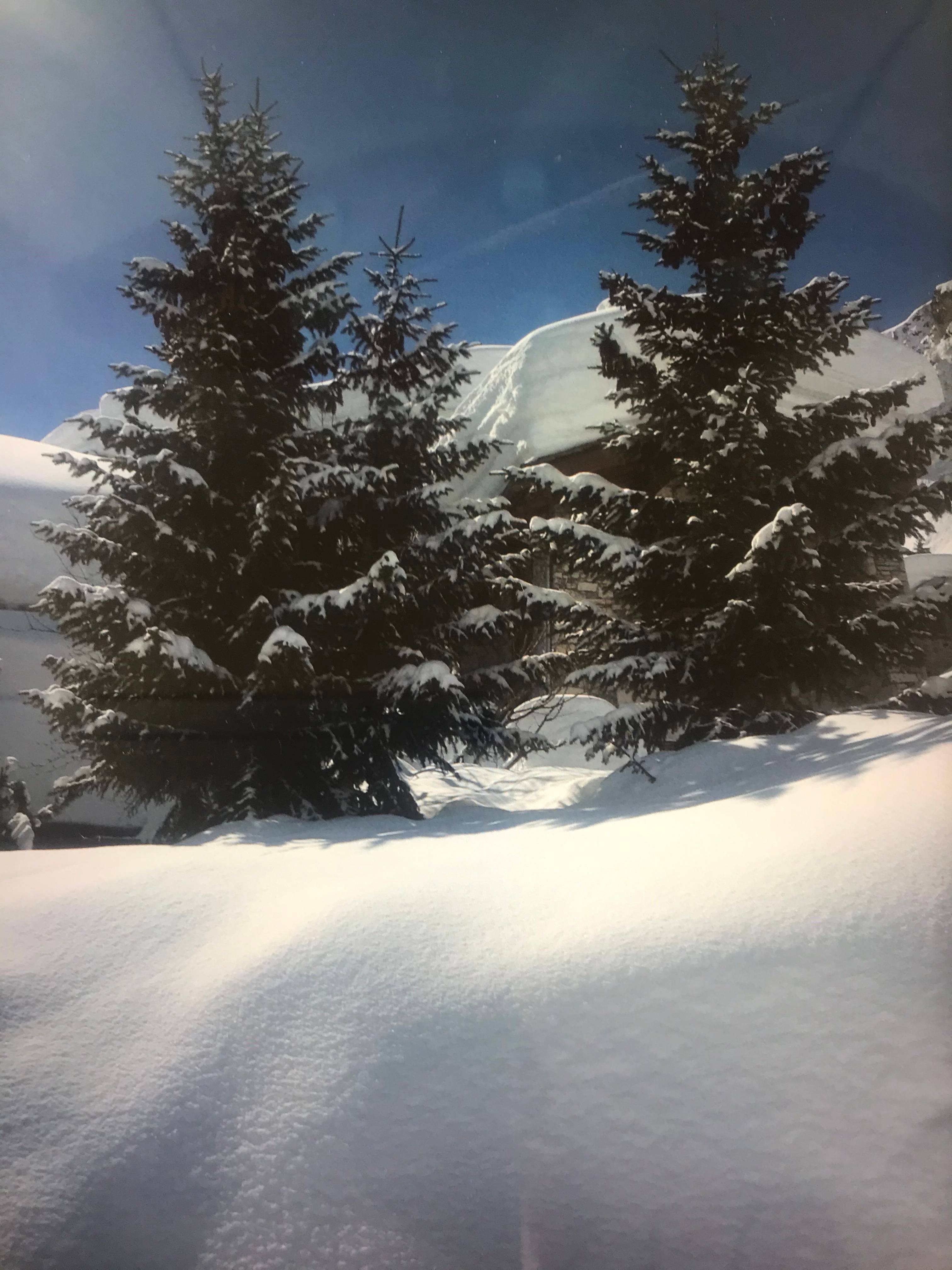 A photo of the ad
