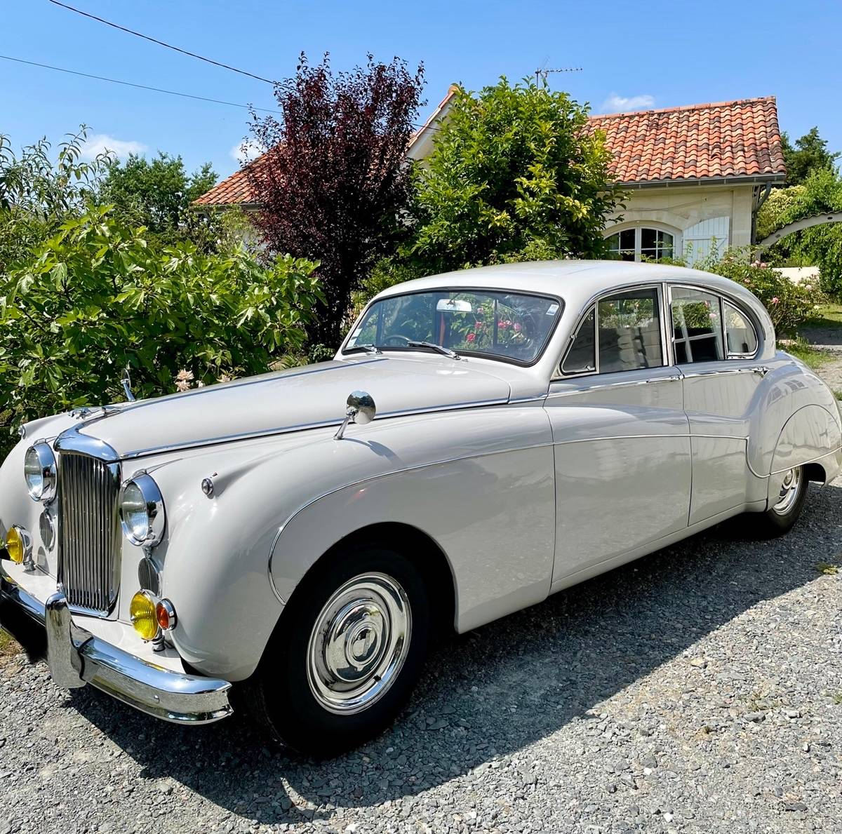 Location Jaguar pour mariage, événements etc