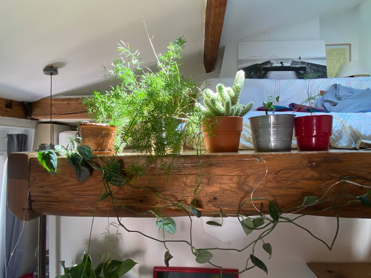 Une photo de l’annonce