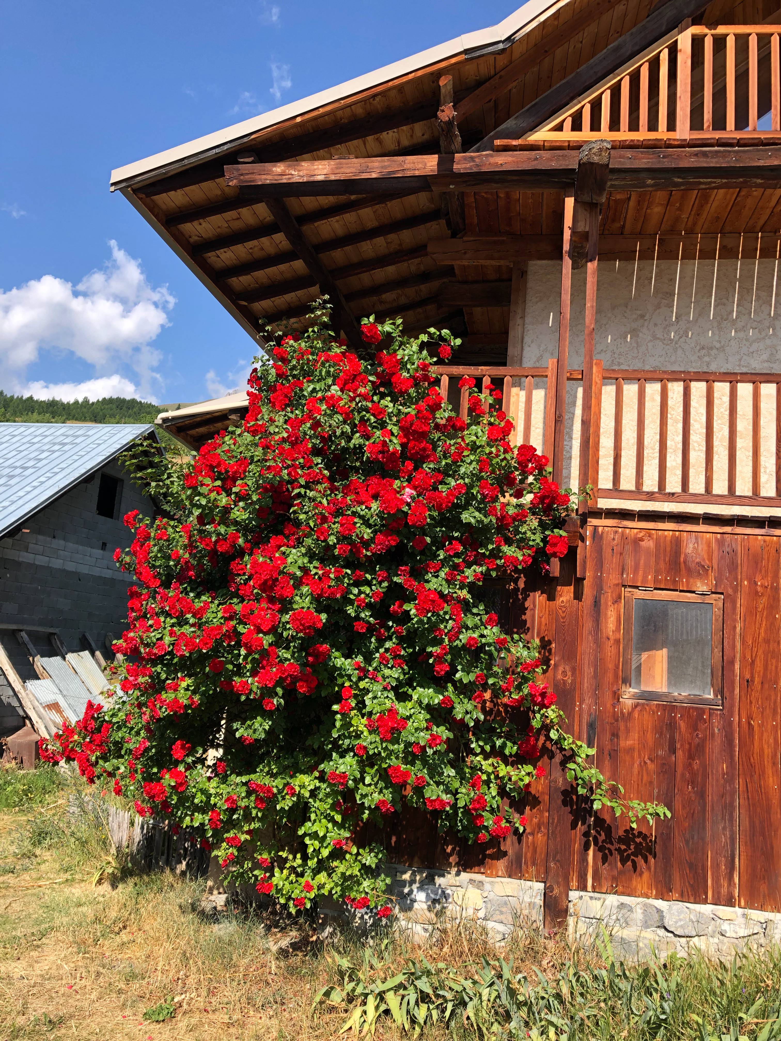 Loue maison ancienne (poutres et vieilles pierres) Hautes-Alpes 1600m - 3 chambres, 6 couchages