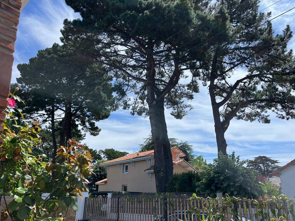 Une photo de l’annonce de location de vacances