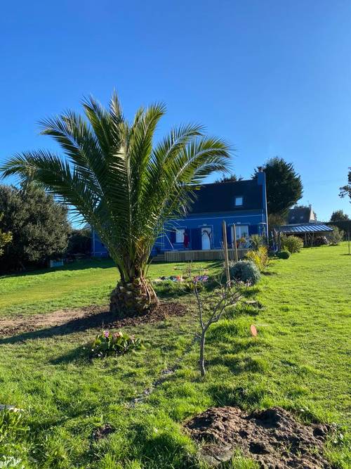 Loue maison belle île en mer - 4 chambres, 8 couchages, Locmaria (56)