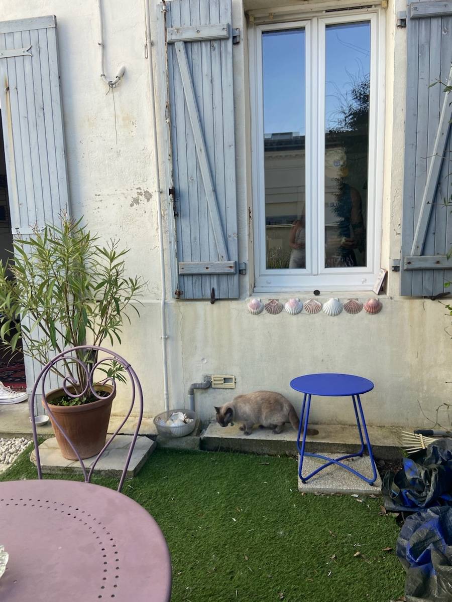 Une photo de l’annonce