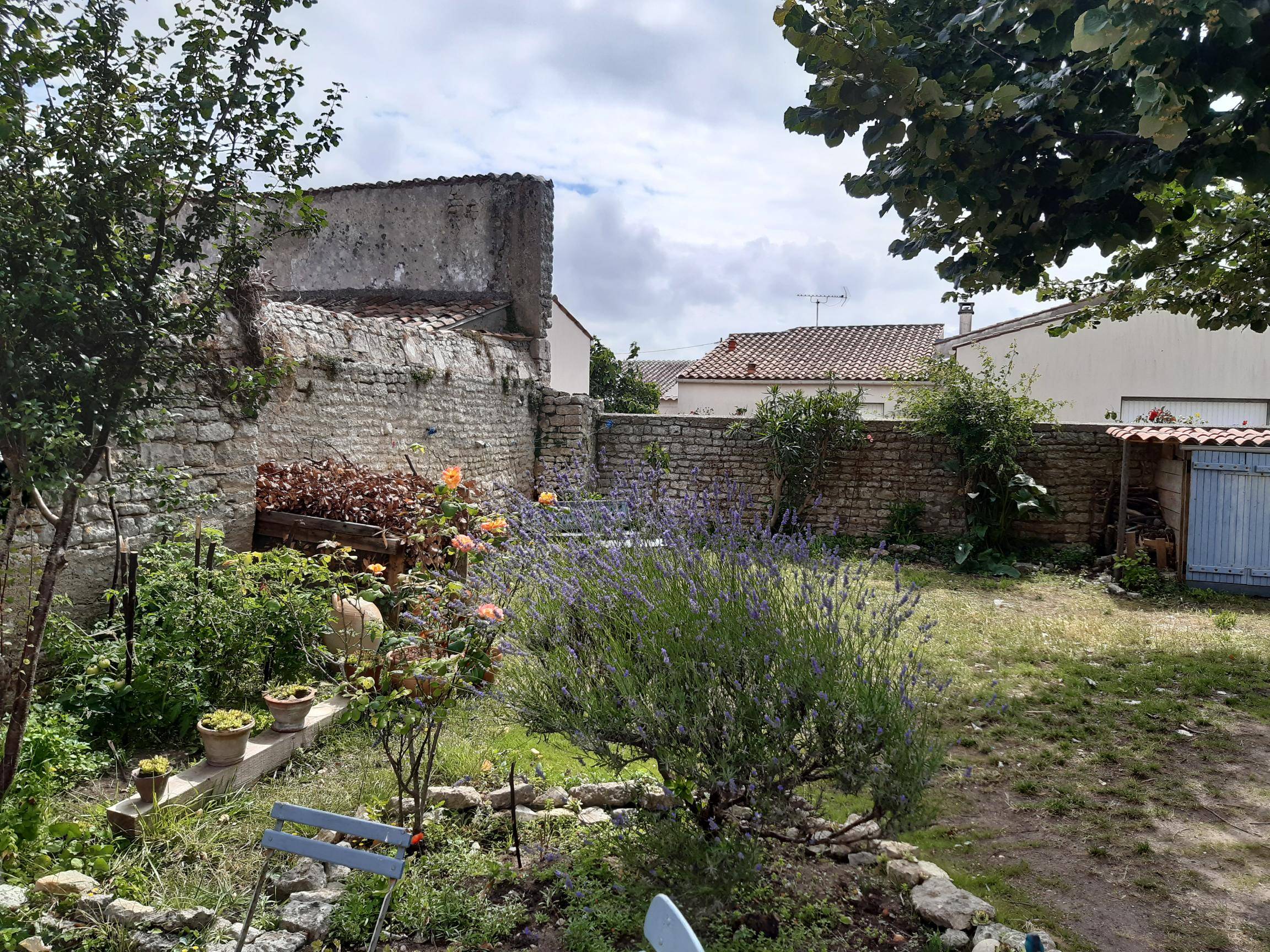 Une photo de l’annonce