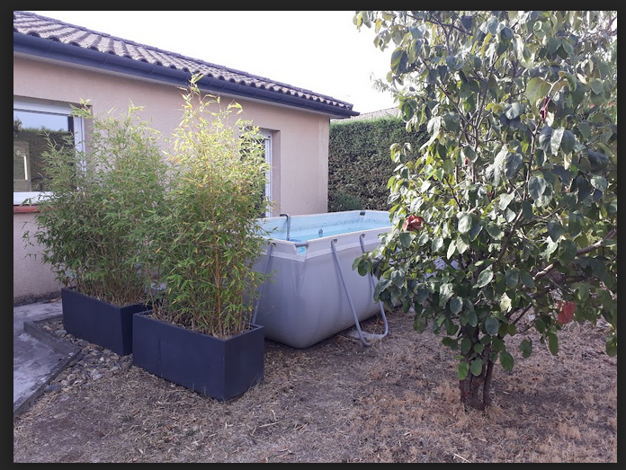 Une photo de l’annonce