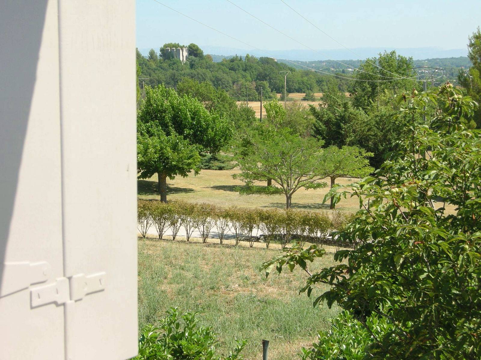 Une photo de l’annonce